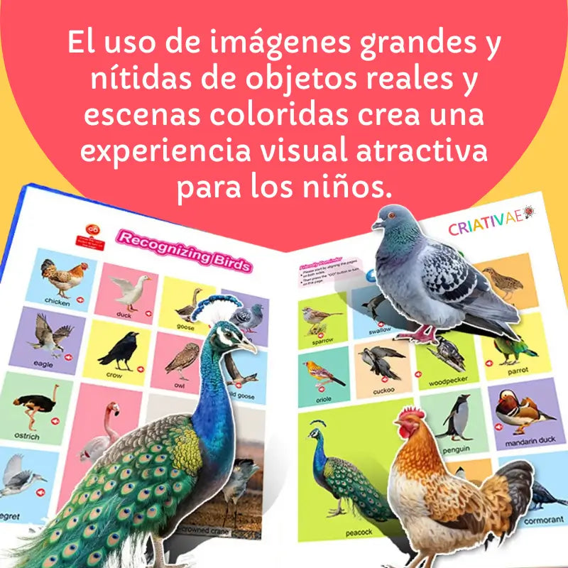 Libro de Sonidos Mis Primeras Palabras en Inglés